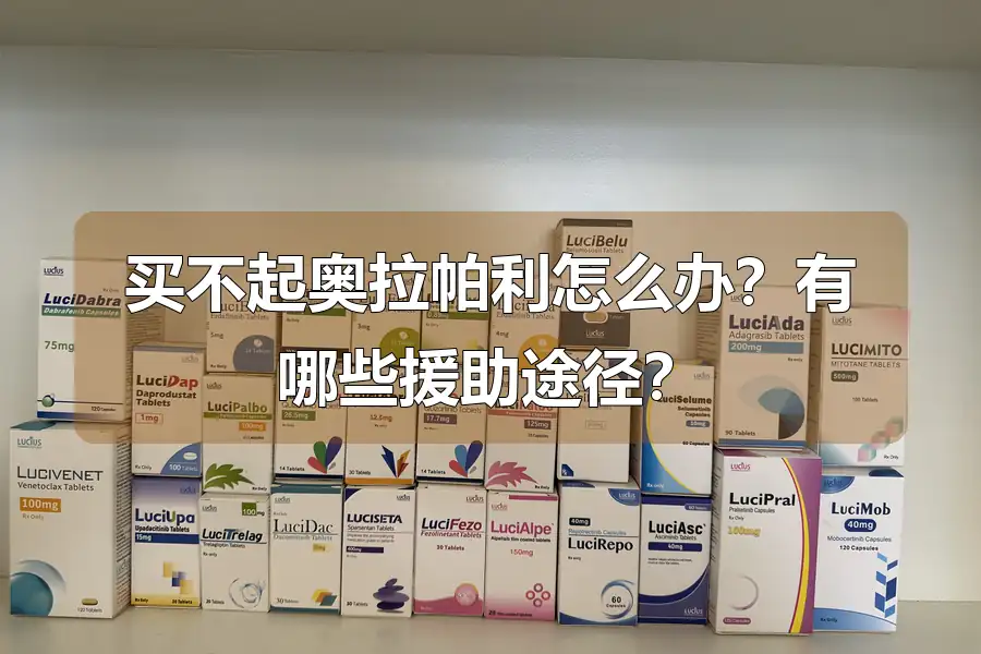 买不起奥拉帕利怎么办？有哪些援助途径？